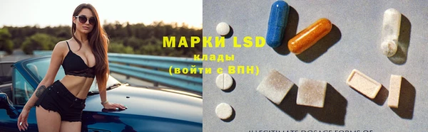 ECSTASY Богданович