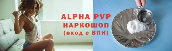 ECSTASY Богданович