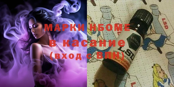 ECSTASY Богданович