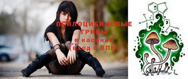 кристаллы Богородицк