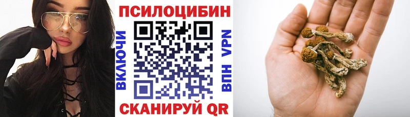 mega ТОР  Кириши  Псилоцибиновые грибы GOLDEN TEACHER 